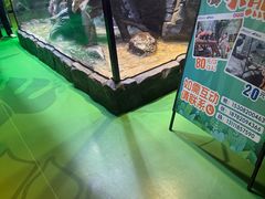 -海合安成都极地海洋公园