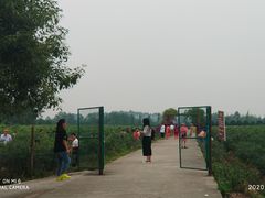 -金谷域澳洲庄园