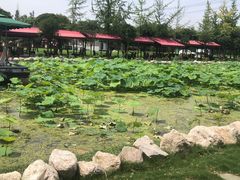 -洪湖家庭农场·团建·露营·会议
