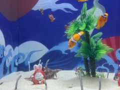 -烟台海昌鲸鲨海洋公园
