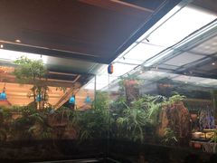 -泰谷酒店·太古码头闽菜自助餐厅