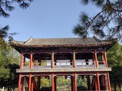 -武汉园博园(武汉自然博物馆)