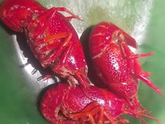 -沪小胖·小龙虾·蓝龙王(八佰伴店)