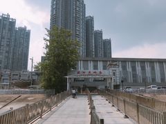 -武汉关码头(轮渡站)