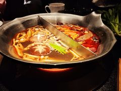 台式麻辣花胶鸡鸳鸯锅-湊湊火锅·茶憩(世博大道店)
