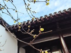 -程十发艺术馆