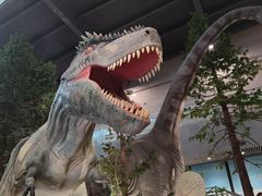 -湖南省地质博物馆