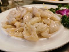 塘鳢鱼-新聚丰菜馆(太监弄店)