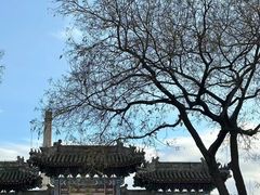 -白云观