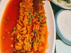 松鼠鱼-乾园(天河城店)