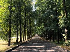 -莫斯科大学