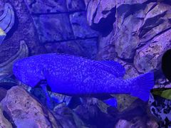 -波塞冬旅游度假区