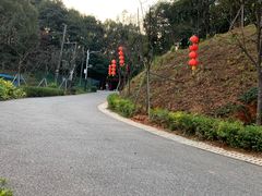 -广州市帽峰山景区