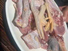 -南海鸽天下(肇庆店)