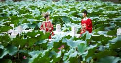 -保定巴黎婚纱摄影