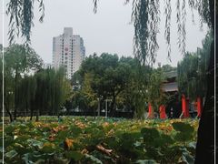 -四川大学(望江校区)