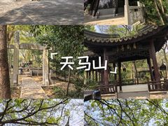 -上海佘山国家森林公园天马山园