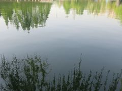 -环城公园-琥珀潭