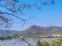 -风云岭森林公园