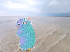 -奉贤海滩