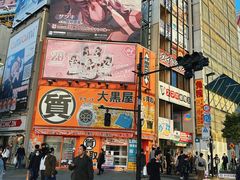 -秋叶原电器街