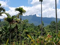 -七仙岭温泉国家森林公园