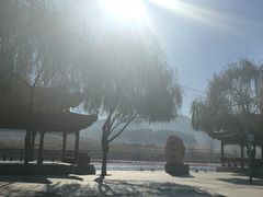 -江心岛
