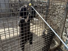 -水上乐园·欢乐世界