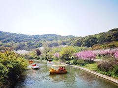 -苏州上方山国家森林公园