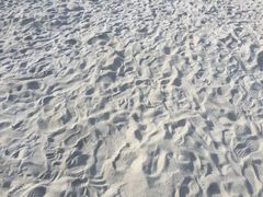 -映月湖中央公园
