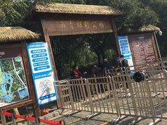 -西青郊野公园