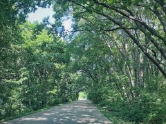 -农垦当壁镇兴凯湖旅游度假区