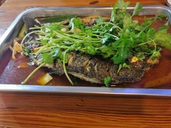 -沈胖子音乐烤吧·炒菜·龙虾(环城东路店)