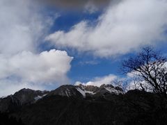 -黄龙山原始森林景区