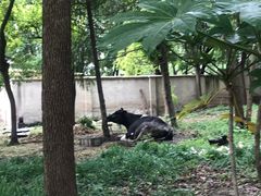 -扬大康源乳业鲜奶吧(大学北路店)