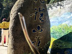-西双版纳原始森林公园