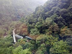 -溪口-滕头旅游景区