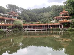-深圳仙湖植物园