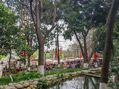 -成都市活水公园