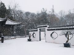 -扬州大运河文化旅游度假区·盆景园