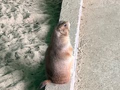 -杭州野生动物世界