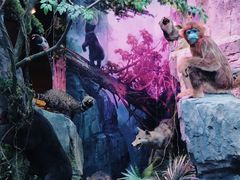 -重庆中国三峡博物馆(重庆博物馆)