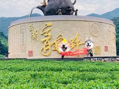 -听风阁农家私房菜茶楼(龙坞店)