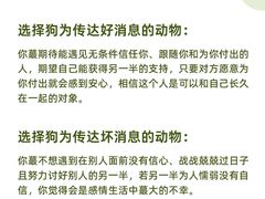 -德瑞姆心理咨询旗舰店