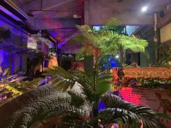 -恐龙探索乐园(磁器口店)