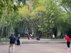-晓港公园