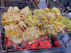 -桃园烧烤·砂锅(商业步行街店)