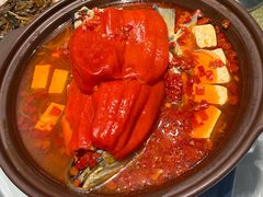 -西湖春天•老字号杭州菜(百汇店)