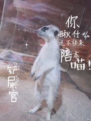 -酷嗒动物文化乐园(cutezoo西溪乐天城店)