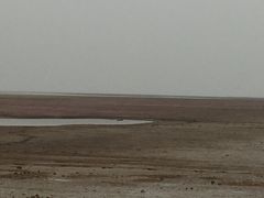 -鄱阳湖国家湿地公园
